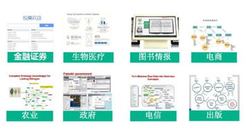 知識圖譜理論與實戰 智能技術領域的行業知識圖譜構建